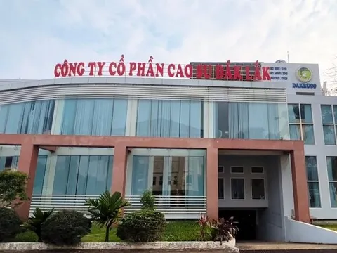 Khởi tố Tổng Giám đốc một công ty cao su trên sàn chứng khoán