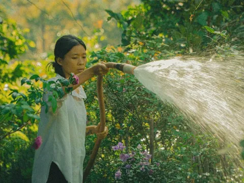 10 năm thanh xuân gom rơm, biến mảnh đất cằn thành khu vườn trù phú: Không thể kể hết các loại cây