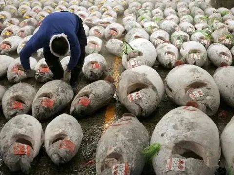 Loại 'siêu thực phẩm' này của Việt Nam được hơn 1/3 thế giới ‘chốt đơn’: Italy tăng nhập khẩu gấp 2 lần, thu hơn 200 triệu USD từ đầu năm