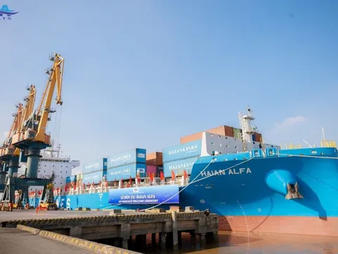 Viconship tiếp tục tăng sở hữu tại HAH