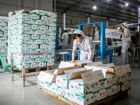 Lợi nhuận quý I/2024 của Mộc Châu Milk chạm đáy 3 năm