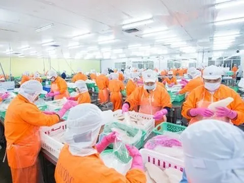 Loạt chỉ số đi lùi, Thủy sản Nam Việt "hụt hơi" ngay trong quý đầu năm