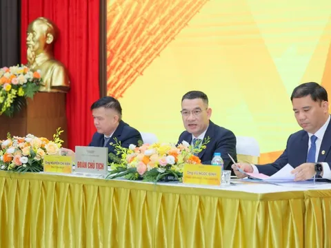 ĐHCĐ Thaiholdings: Giờ là cơ hội để M&A các dự án bất động sản với chi phí thấp