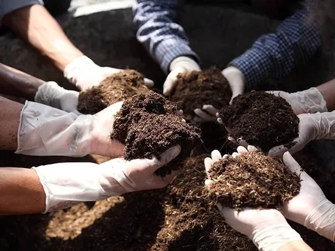 Trung Quốc, Nga là 'ông trùm' xuất khẩu phân bón sang Việt Nam nhưng đây mới là 'mỏ vàng mới nổi': giá siêu rẻ, Việt Nam tăng nhập hơn 81.000%