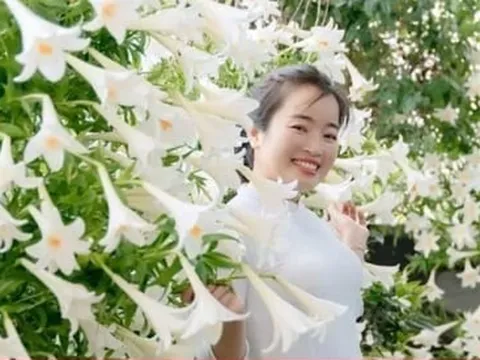 'Studio tại gia' gồm 2.500 bông loa kèn của người phụ nữ Hải Phòng gây sốt mạng