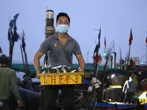 Hà Tĩnh nỗ lực Gỡ thẻ vàng IUU (2): Động viên ngư dân bám biển, khai thác thủy sản hợp pháp