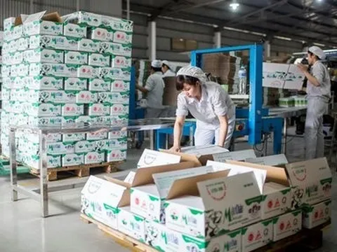 Lợi nhuận quý I/2024 của Mộc Châu Milk sụt giảm