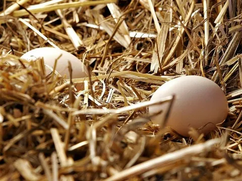 Mặt hàng ở Việt Nam có thời điểm giá rẻ như cho, bán đầy đường để "giải cứu" bỗng rơi vào khủng hoảng, tăng vọt 20-30% khắp thế giới