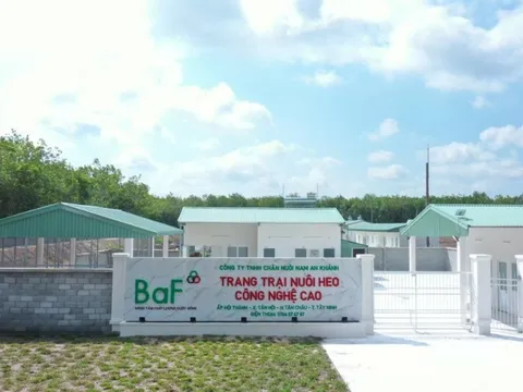 Lợi nhuận BAF tăng đột biến, gấp 30 lần trong quý I/2024