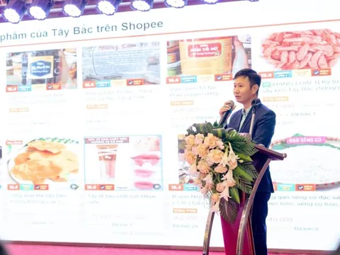 Sàn TMĐT ghi dấu ấn với loạt sáng kiến hỗ trợ nhà bán hàng địa phương