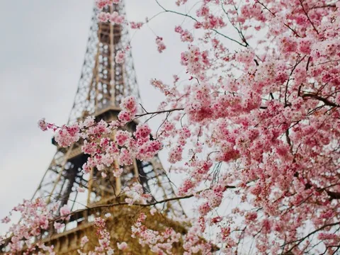 Một nét văn hoá không thể thiếu của người Nhật vừa được tái hiện giữa lòng thủ đô, mang tới trải nghiệm đáng nhớ