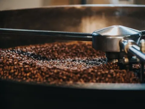 Thái Lan đang mạnh tay săn lùng một báu vật tiền tỷ của Việt Nam: xuất khẩu tăng hơn 200%, giá trong nước tăng không ngừng nghỉ