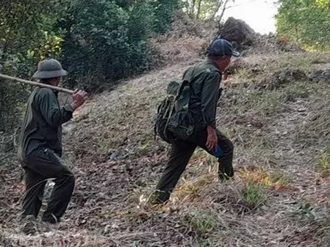 Những người "gác rừng" không có ngày nghỉ lễ