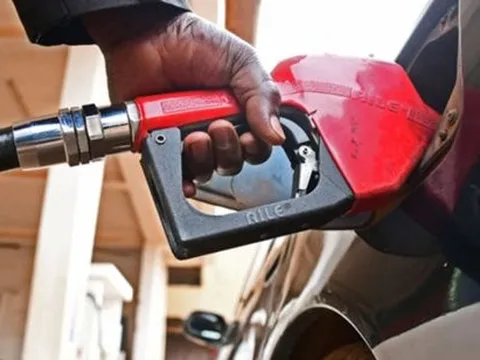 Giá dầu trung bình năm nay ra sao? World Bank tung dự báo khiến nhiều quốc gia nhập khẩu thở phào