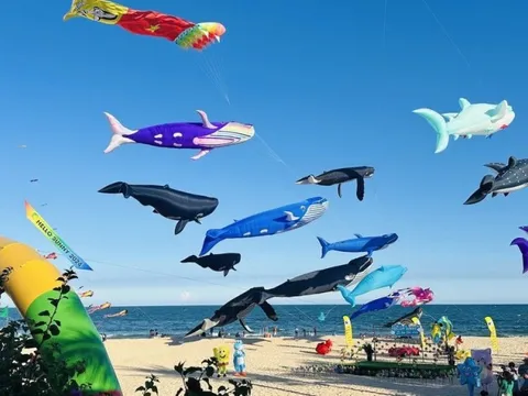 Bình Thuận: Lễ hội thả diều rực rỡ sắc màu thu hút nhiều du khách