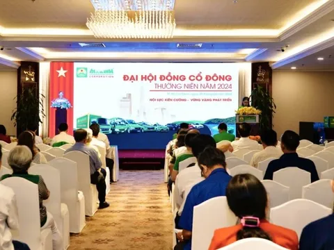 Mai Linh đầu tư cho tương lai