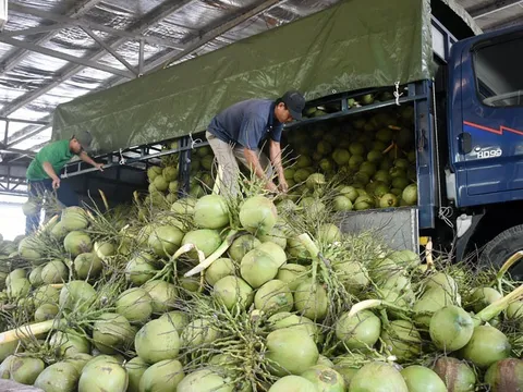 Không chỉ bán quả giải khát mùa hè, một vườn cây của Việt Nam có thể thu được hàng tỷ đồng từ một thứ