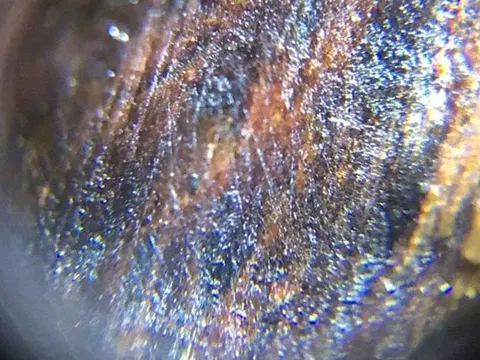 Loại gỗ triệu cây mới có một ở Việt Nam: Đại gia Nhật, Trung dốc cả hầu bao không mua nổi vì quá hiếm