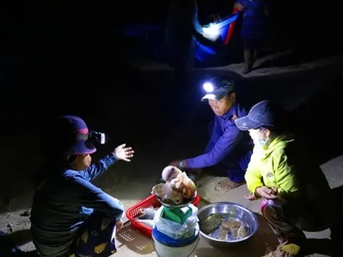 Độc lạ 'bến đèn pin' buôn bán hải sản sớm tinh mơ