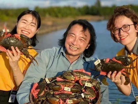 Bất ngờ với giá cua biển Cà Mau dịp lễ 30-4 và 1-5