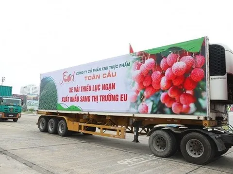 Thương mại điện tử: Tận dụng cơ hội đưa nông sản Việt vươn xa