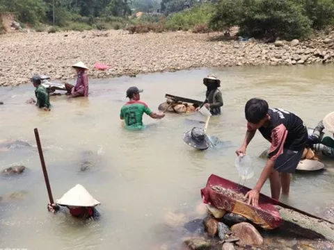 Clip: Người dân Quảng Nam đổ xô xuống sông đãi cát tìm vàng