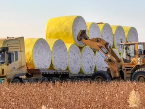 2 cường quốc của thế giới đua nhau đưa ‘vàng trắng’ đến Việt Nam: Chi hơn 700 triệu USD nhập khẩu, nước ta là ‘cá mập’ đứng thứ 3 thế giới