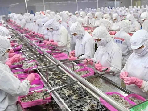 Xuất siêu nông lâm thủy sản tăng 71,5%