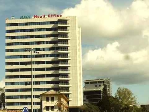 Hoàng Anh Gia Lai làm gì để đưa cổ phiếu ra khỏi diện cảnh báo?