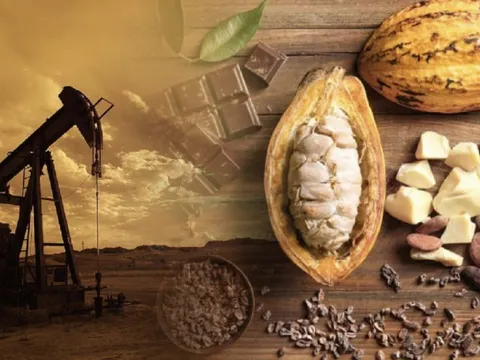 Tồn kho tăng kéo giá dầu giảm về mức thấp nhất 7 tuần qua