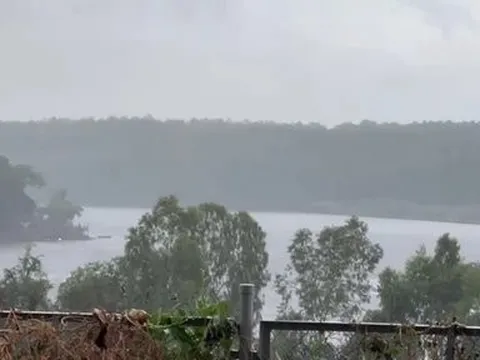 Bình Phước: Người dân vui mừng đón cơn “mưa vàng” đầu mùa