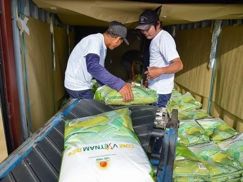 Sử dụng đòn bẩy tài chính cao, Lộc Trời vẫn chìm trong thua lỗ