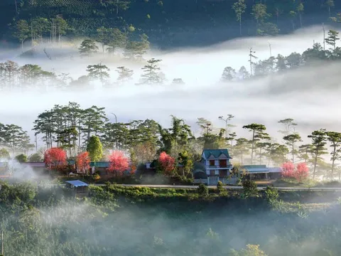 Phát hiện ngôi làng ẩn mình trong sương, là bối cảnh phim của nhà sản xuất Việt nghìn tỷ, ngay gần Đà Lạt