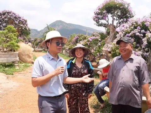 Vườn bằng lăng trăm tỷ tốn 1,5 triệu/ngày thuê người tưới, chủ tự hào "cây oách nhất Việt Nam đều ở đây"