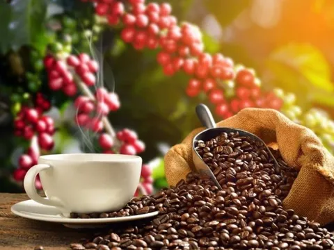 Tiềm năng của thị trường Singapore đối với cà phê Việt Nam còn khá lớn