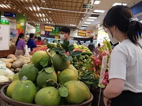 Kinh tế TPHCM: 'Nạc đã dùng, chỉ còn xương'...