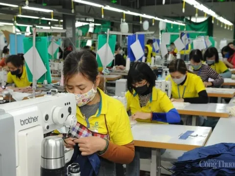 Đơn hàng dệt may tăng 10-15%