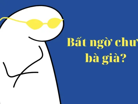 Sức mạnh của đầu tư dài hạn tại các DN: Bỏ 1 đồng, lãi 20-30 đồng, “ôm” một mã chứng khoán ăn lãi cả đời