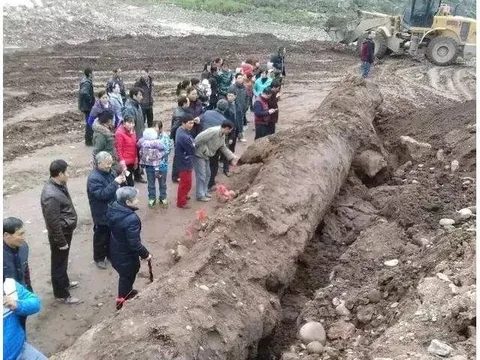 Anh nông dân đào được cây gỗ "đen sì" dài 20m, nghi là "Đông phương thần mộc" trị giá hơn 350 tỷ đồng, hiện trường lập tức được phong tỏa