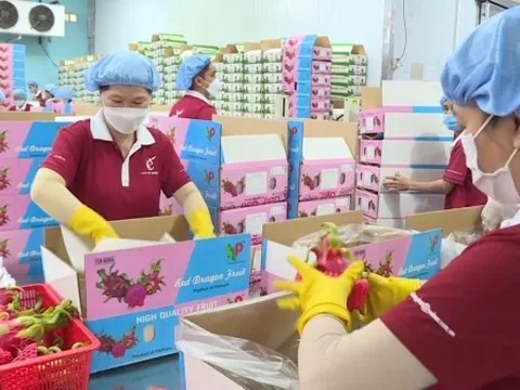 Doanh nghiệp rau quả bước vào “cuộc chiến" gay gắt