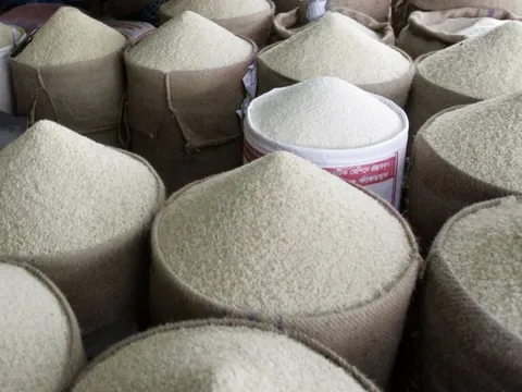 Giá gạo xuất khẩu tăng trở lại