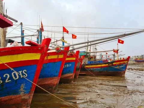 Thanh Hóa: Xử lý nghiêm tàu cá vi phạm quy định về IUU