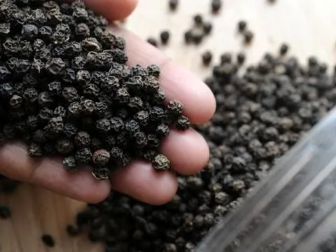 Lý do giá 'vàng đen' liên tục tăng mạnh