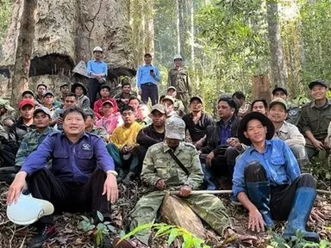 Kon Tum: Nỗ lực bảo vệ "báu vật" của buôn làng