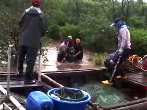 Quảng Ninh: Một người tử vong do sét đánh đi khi đánh bắt thủy sản