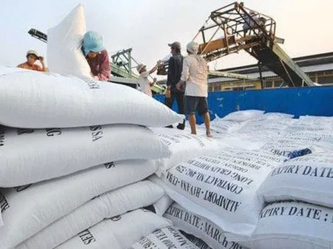 Hàng loạt ‘kho báu’ xuất khẩu của Việt Nam lên cơn sốt giá, có loại đắt nhất thế giới