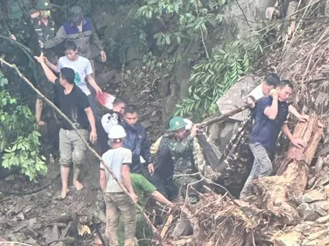 Hai anh em tử vong trong vụ sạt lở khi thi công đường dây 500kV