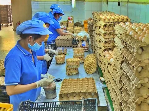 Đẩy mạnh tín dụng, khơi thông nguồn vốn cho doanh nghiệp Tp.HCM