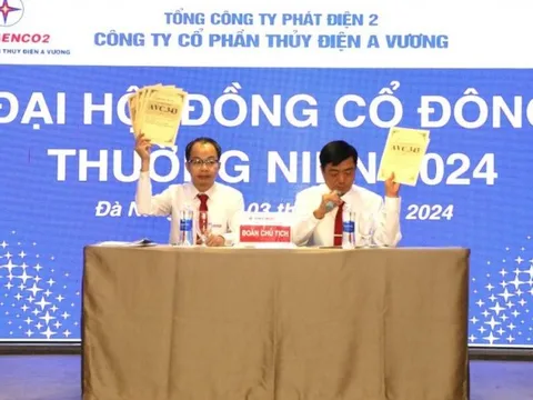 Vì sao Thủy điện A Vương đặt mục tiêu doanh thu lẫn lợi nhuận giảm?