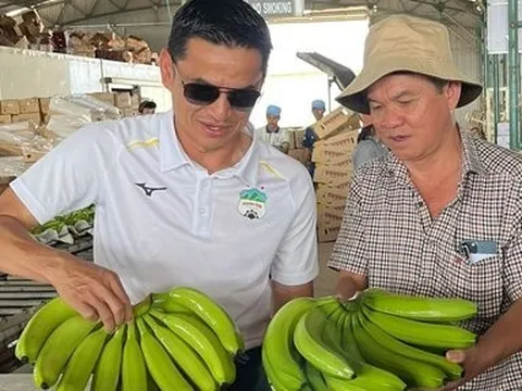 Đang đà tăng trưởng, HAGL lên kế hoạch lợi nhuận đi lùi